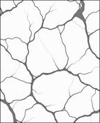 Monochrome Cracked Earth Abstract Rug