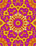 Radiant Fuchsia Sunburst Bloom Rug