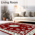 Crimson Bloom Scrollwork Frame Rug
