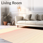 Retro Pink Horizon Stripe Rug