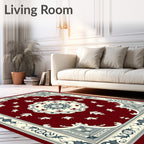 Rich Crimson Elaborate Medallion Border Rug