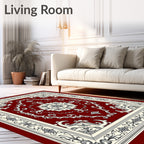 Red Ivory Floral Medallion Frame Rug