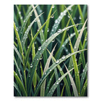 Lush Green Fresh Morning Dew Blades Rug