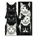 Six Black White Cat Portraits Rug