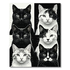 Six Black White Cat Portraits Rug
