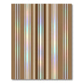 Earthy Rainbow Vertical Stripe Rug