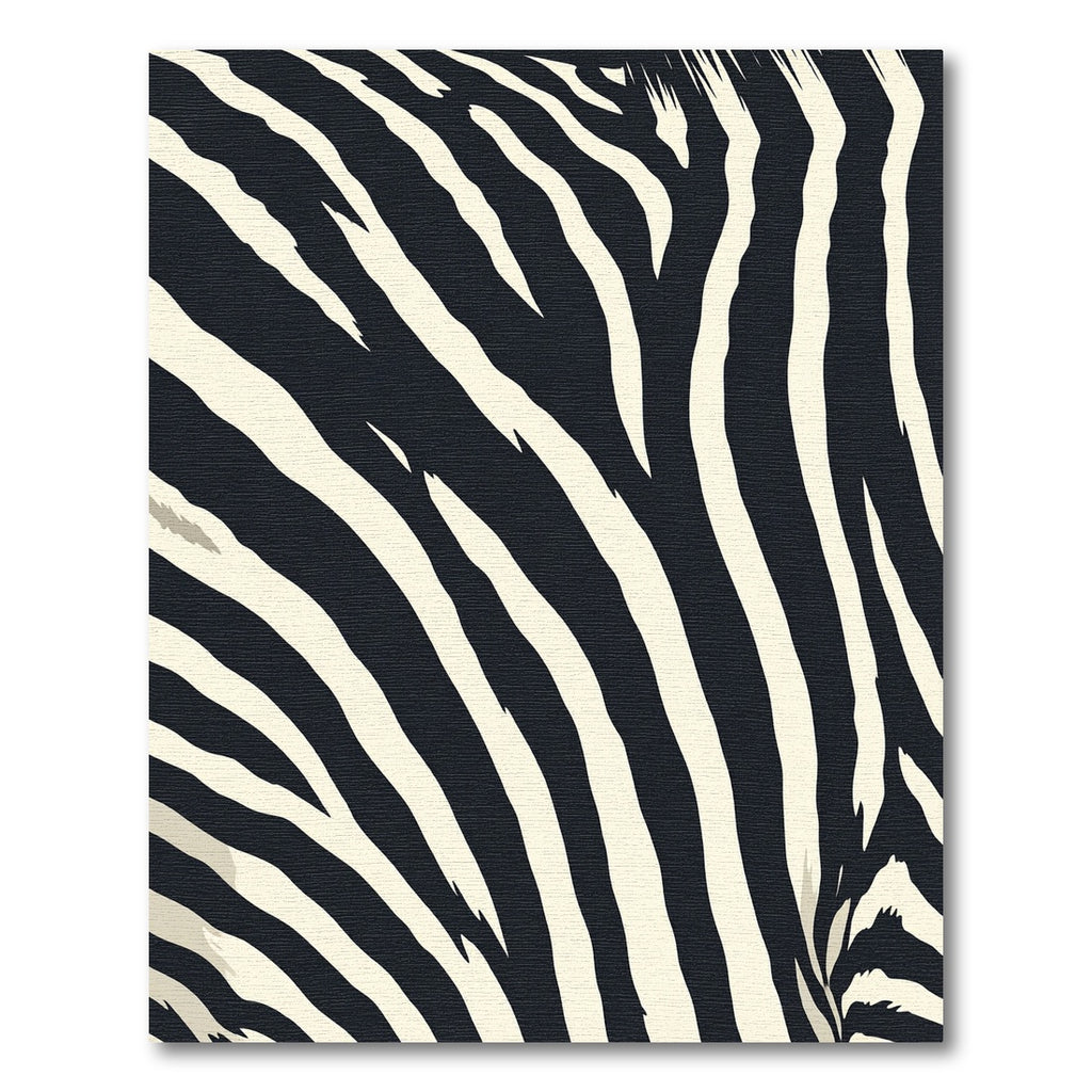 Sharp Monochrome Streak Pattern Rug