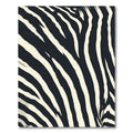 Sharp Monochrome Streak Pattern Rug