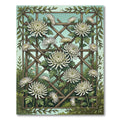 White Chrysanthemum Garden Trellis Rug