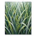 Lush Green Morning Dew Grass Rug