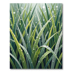 Lush Green Morning Dew Grass Rug
