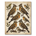 Vintage Botanical Crested Songbird Illustration Rug