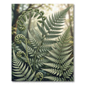 Lush Green Fiddlehead Fern Botanical Rug