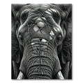 Striking Monochrome Geometric Elephant Portrait Rug