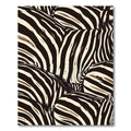 Contemporary Black White Zebra Stripe Rug