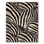 Contemporary Black White Zebra Stripe Rug