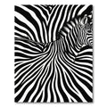 Animalistic Black White Swirls Rug