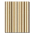 Earthy Tones Vertical Stripe Composition Rug