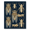Entomological Cicada Grasshopper Beige Ink Art Rug