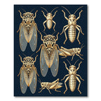 Entomological Cicada Grasshopper Beige Ink Art Rug