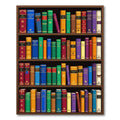 Colorful Bookshelf Library Wall Art Rug
