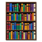 Colorful Bookshelf Library Wall Art Rug