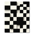 Modern Three Dimensional Black White Grid Rug
