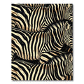 Bold Black and Ivory Zebra Stripes Rug
