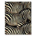 Bold Black and Ivory Zebra Stripes Rug