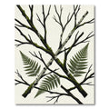 Crossed Birch Branches Fern Botanical Art Rug