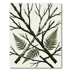 Crossed Birch Branches Fern Botanical Art Rug