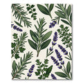 Botanical Garden Herb Illustration Cream Rug