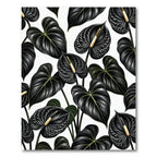 Dark Anthurium Blooms White Background Rug