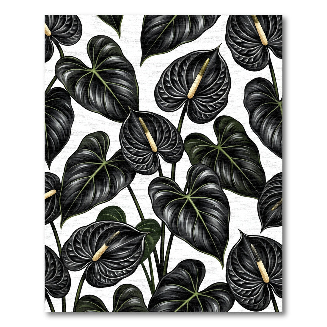 Dark Anthurium Blooms White Background Rug