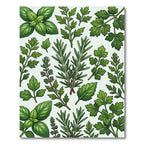 Lush Green Culinary Herb Botanical Illustration Rug