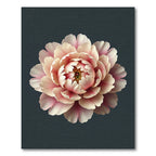 Ornate Pink Peony Blossom Rug