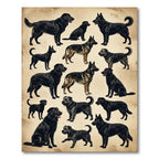 Vintage Black Dog Sketch Illustration Rug