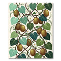 Botanical Kiwi Fruit Vine Illustration Rug