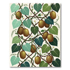 Botanical Kiwi Fruit Vine Illustration Rug